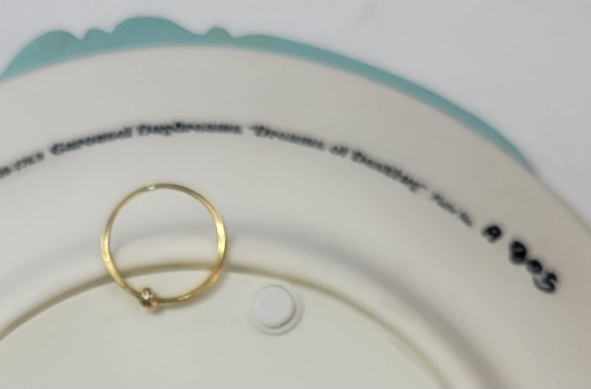 Bradford Exchange 1995 Carousel Daydreams "Dreams of Destiny" Musical Motion Plate - Grannies Garage