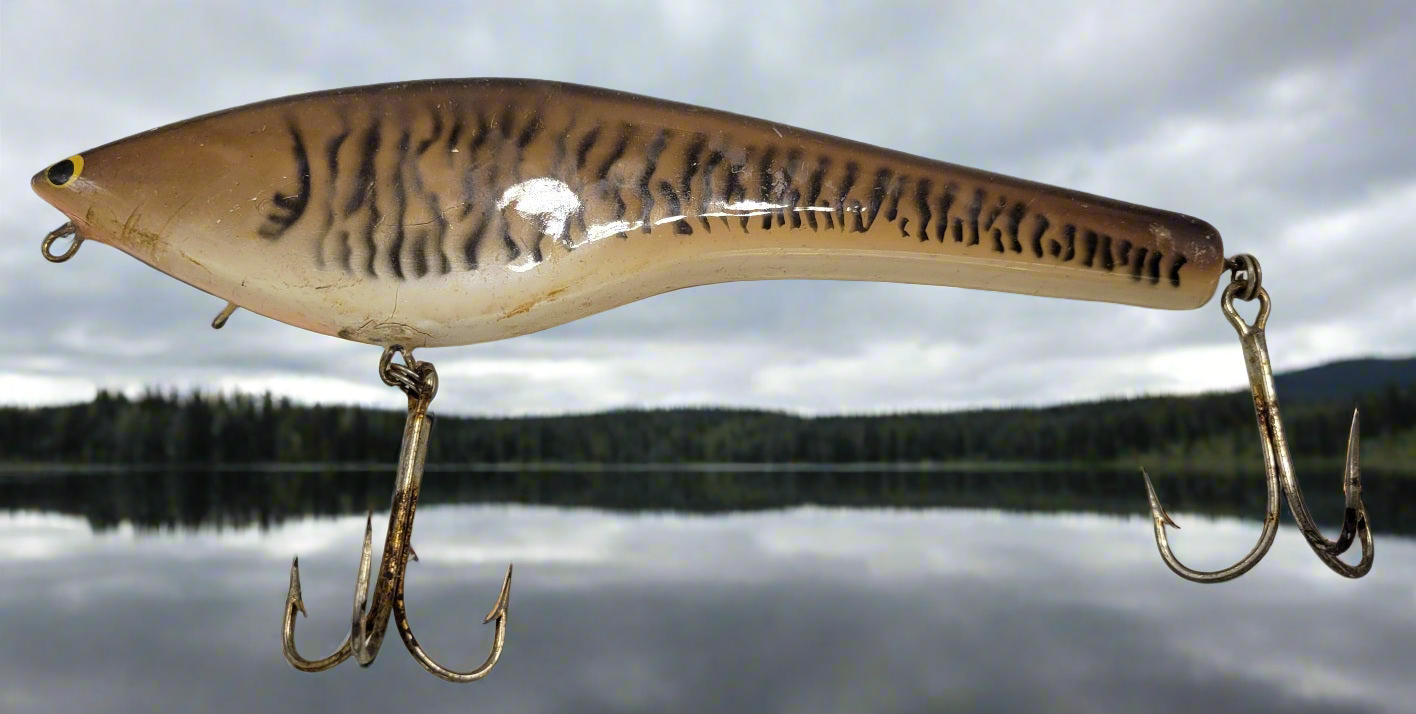 Bagley ????8" Lure features a unique brown, ivory and peach color pattern with striking yellow and black eyes. Its two hooks ensure a secure catch. A must-have for any fishing expert. - Grannies Garage