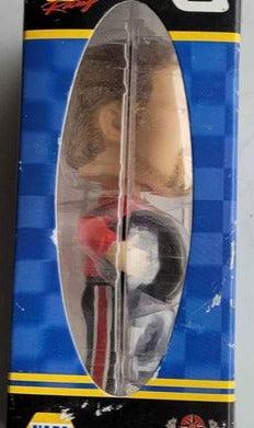 Home Decor - Dale Earnhardt Jr Bobblehead - Grannies Garage