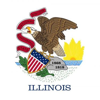 Flag - Illinois 3 x 5 Flag - Grannies Garage