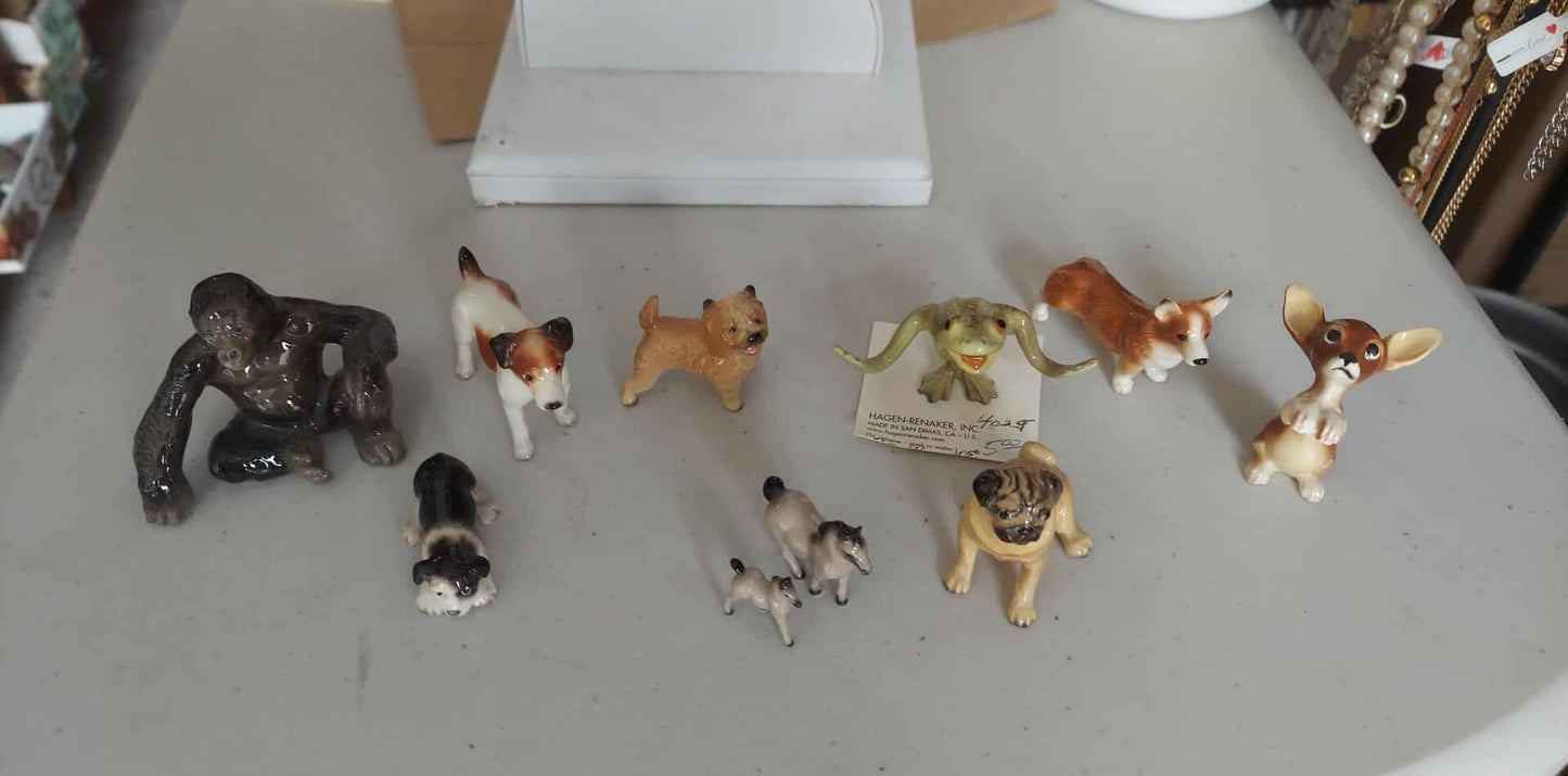 Animals picked from marketplace
