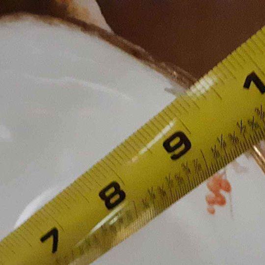 Vintage gold handle scallop edge bowl - Grannies Garage