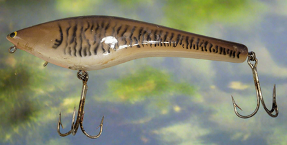 Bagley ????8" Lure features a unique brown, ivory and peach color pattern with striking yellow and black eyes. Its two hooks ensure a secure catch. A must-have for any fishing expert.