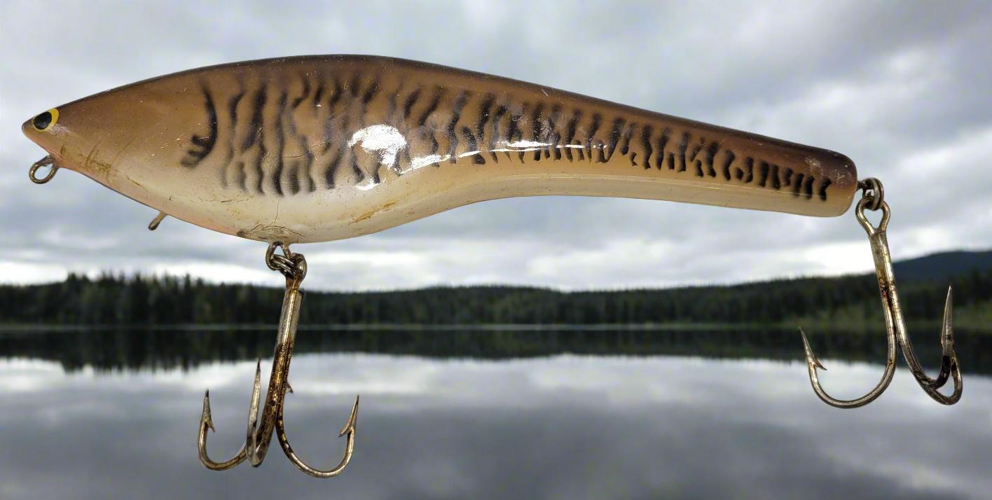 Bagley ????8" Lure features a unique brown, ivory and peach color pattern with striking yellow and black eyes. Its two hooks ensure a secure catch. A must-have for any fishing expert.