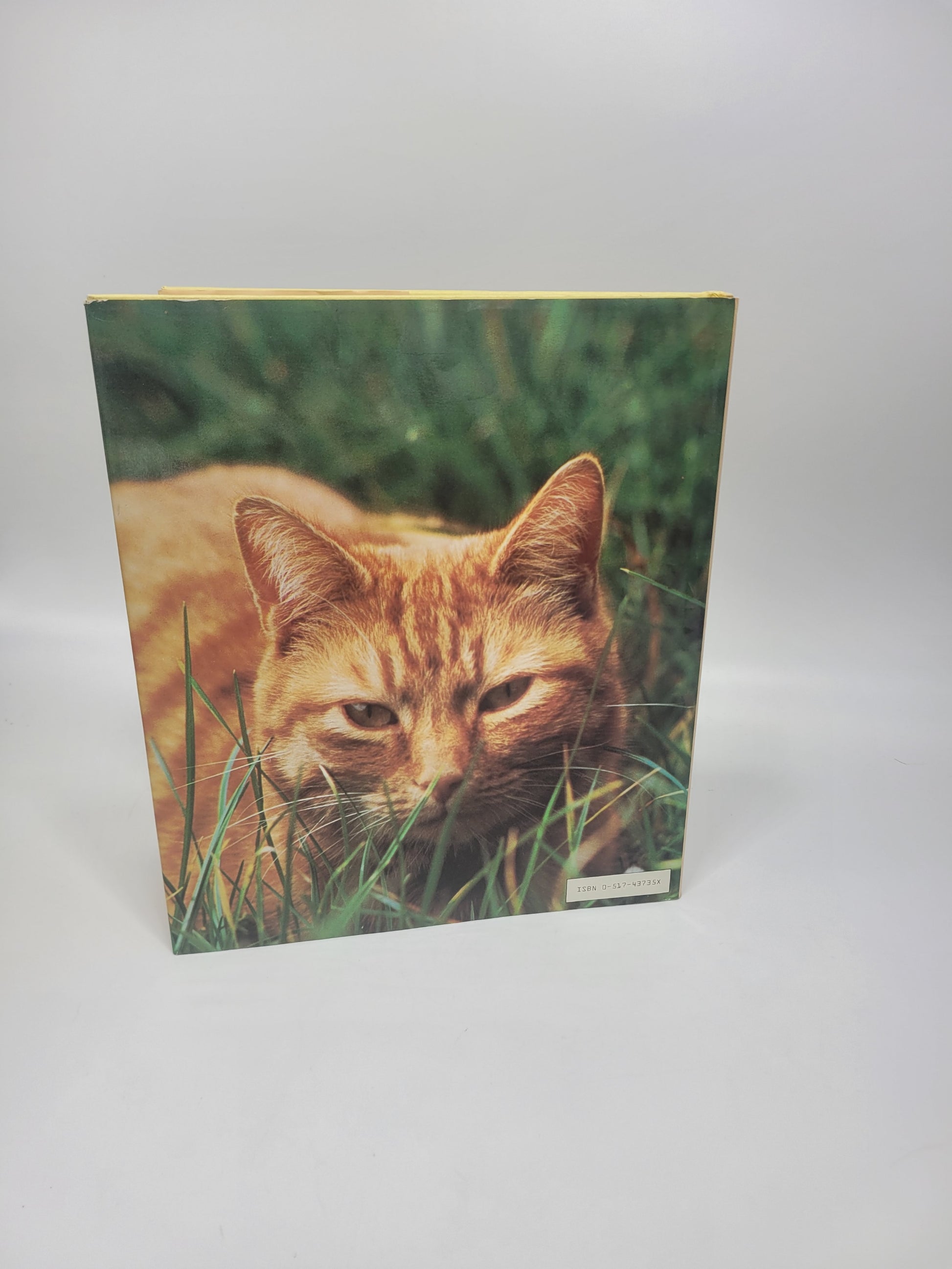 Complete Book Of The Cat [hardcover] Sayer, Angela - Grannies Garage