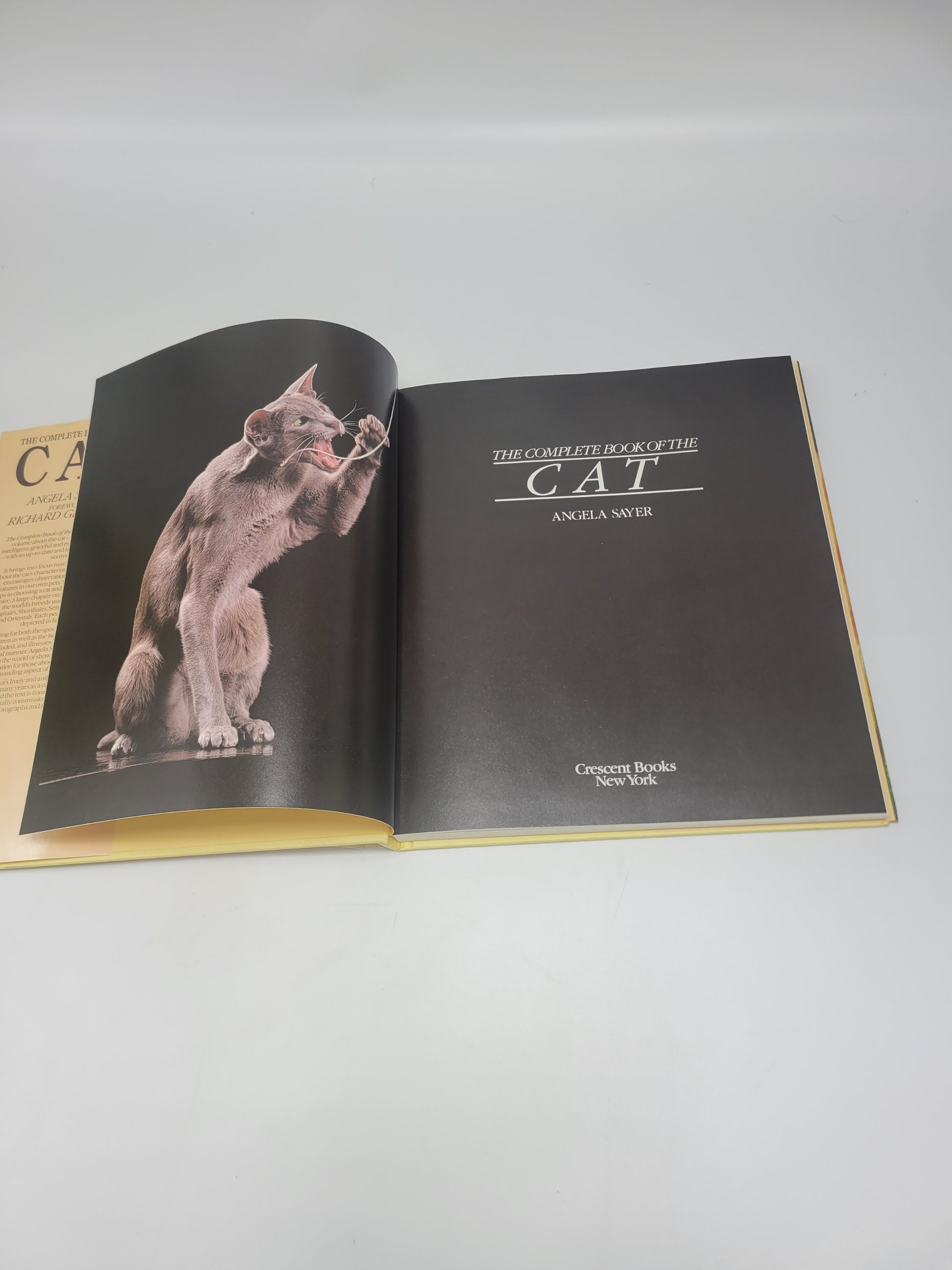 Complete Book Of The Cat [hardcover] Sayer, Angela - Grannies Garage