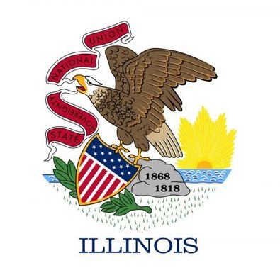 Flag - Illinois 3 x 5 Flag