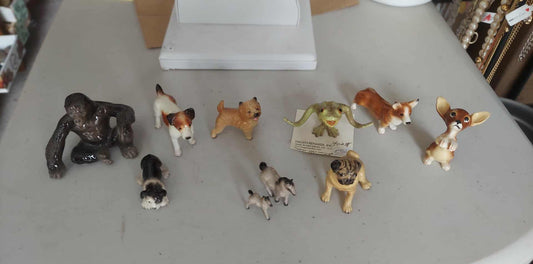 Animals picked from marketplace