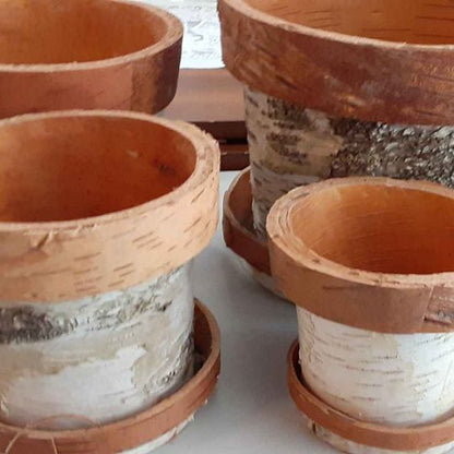Birch planters set of 4 different sizes