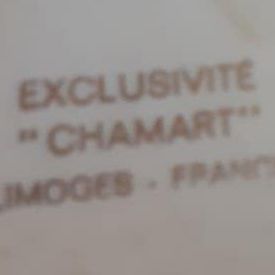 Vintage - Exclusivite Chamart limoges Bird of Paradise bowl