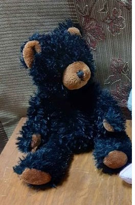 Plush Stuffed Animal - 8" BTG Black Bear - 1901BK